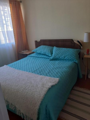 Departamento en viña